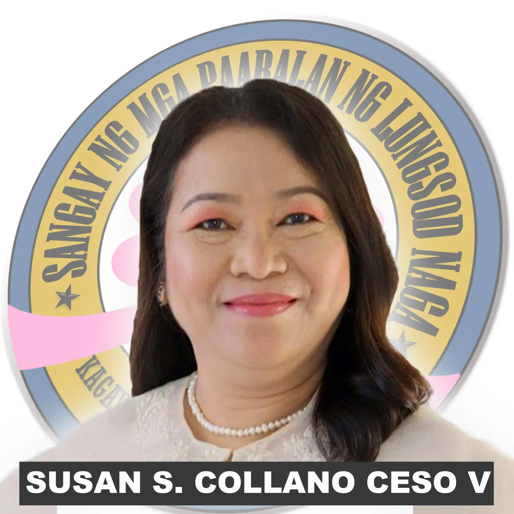 Schools Division Superintendent